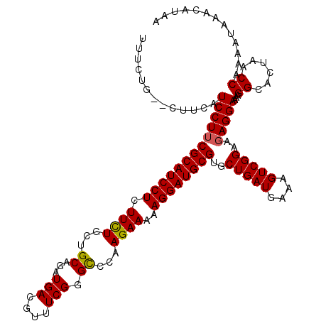 secondary structure