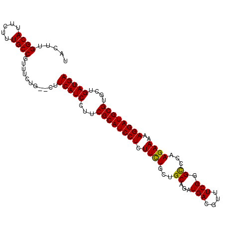 secondary structure