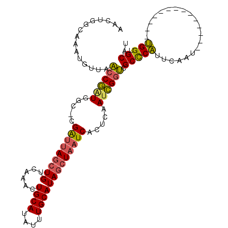 secondary structure