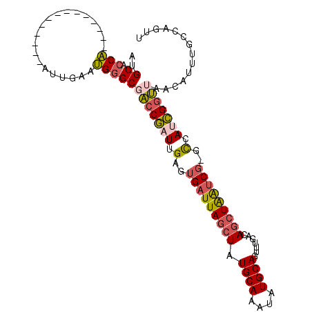 secondary structure