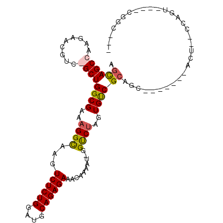 secondary structure