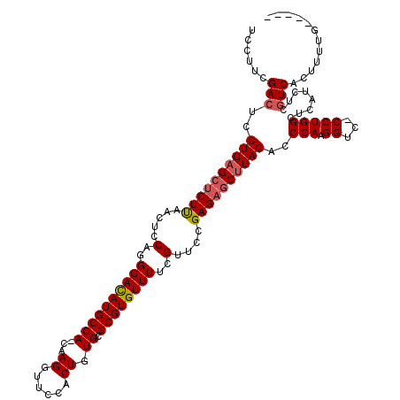 secondary structure