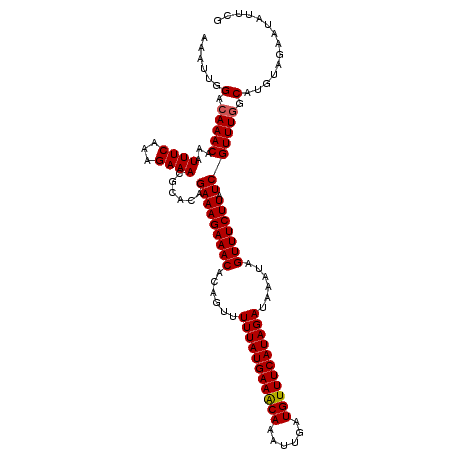 secondary structure