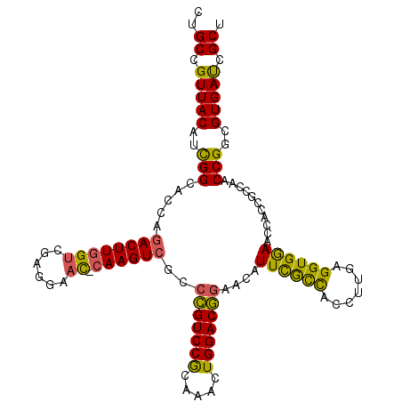 secondary structure