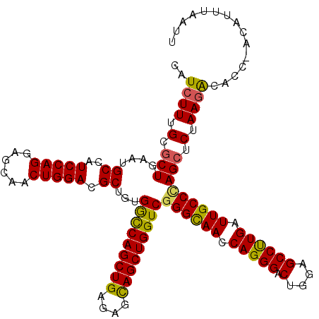secondary structure