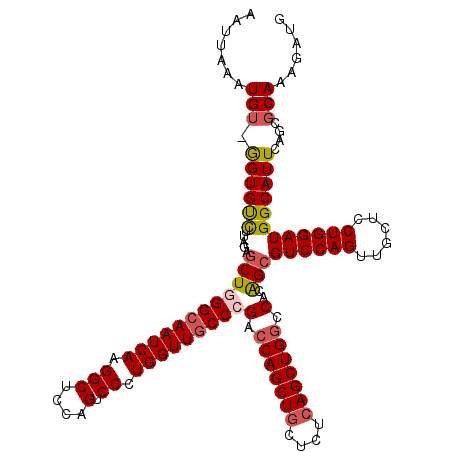 secondary structure