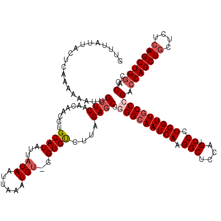 secondary structure