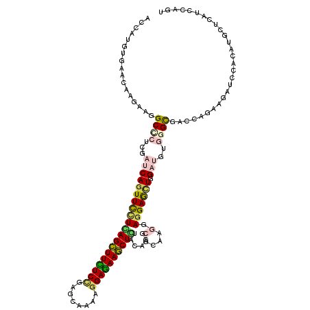 secondary structure