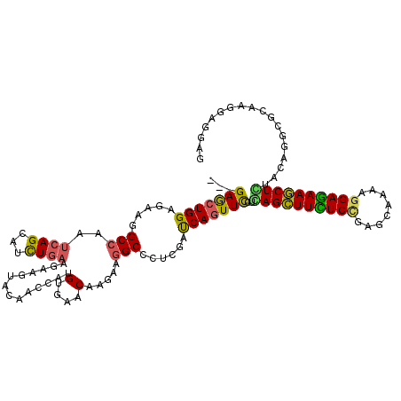 secondary structure