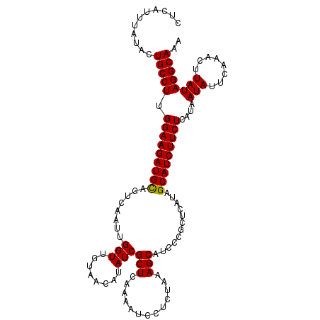 secondary structure