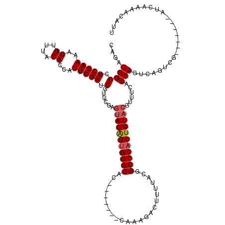 secondary structure