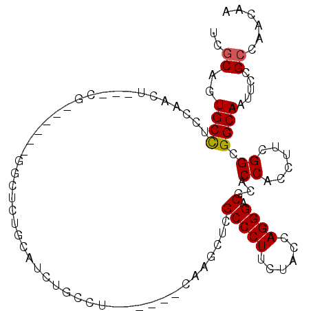 secondary structure