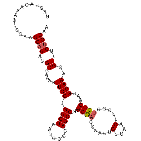 secondary structure