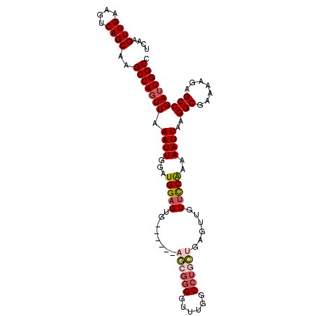 secondary structure