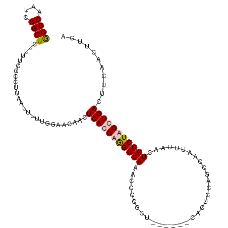 secondary structure