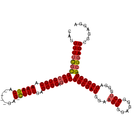 secondary structure