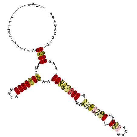 secondary structure