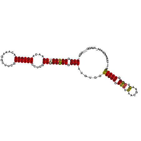secondary structure