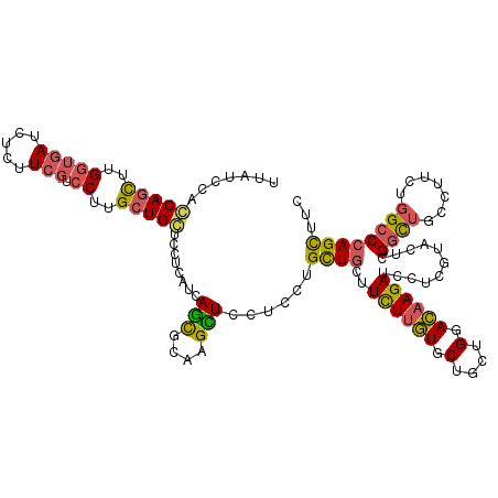 secondary structure