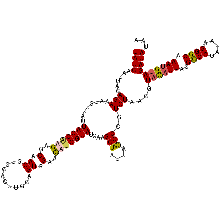 secondary structure