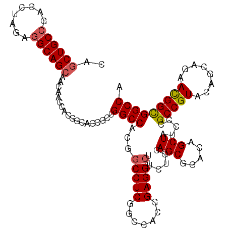 secondary structure
