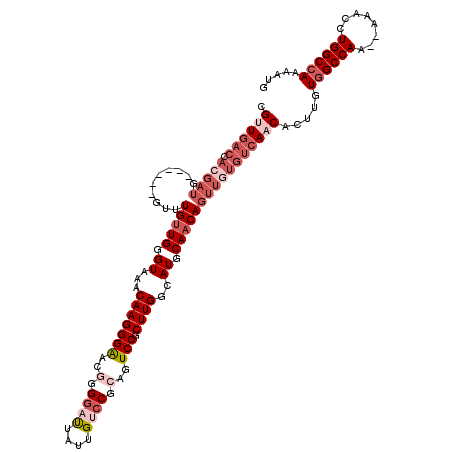 secondary structure