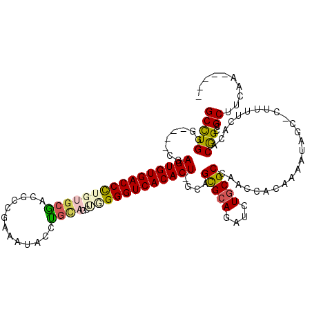 secondary structure