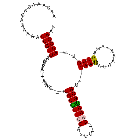 secondary structure