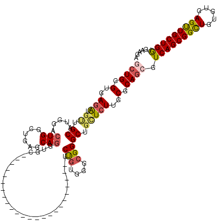 secondary structure