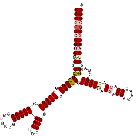secondary structure
