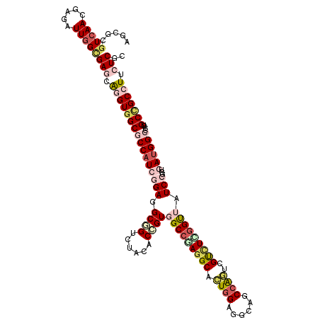 secondary structure
