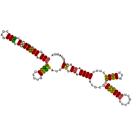 secondary structure