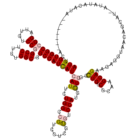 secondary structure