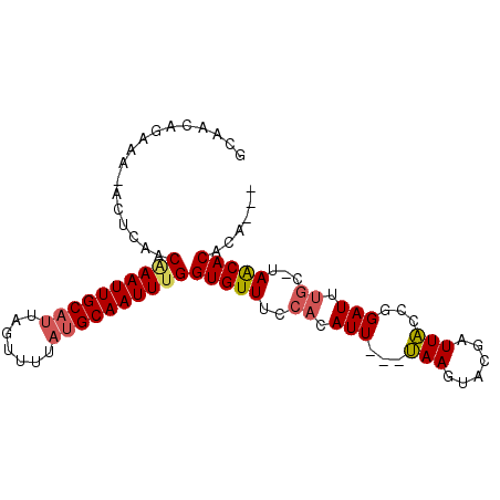 secondary structure