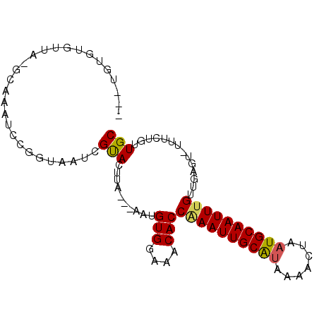 secondary structure