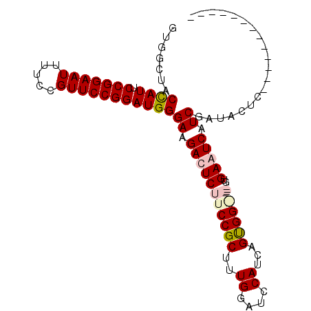 secondary structure