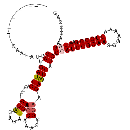 secondary structure