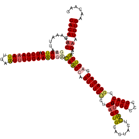 secondary structure