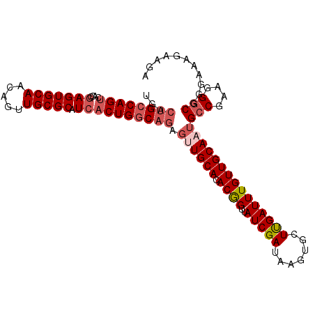 secondary structure