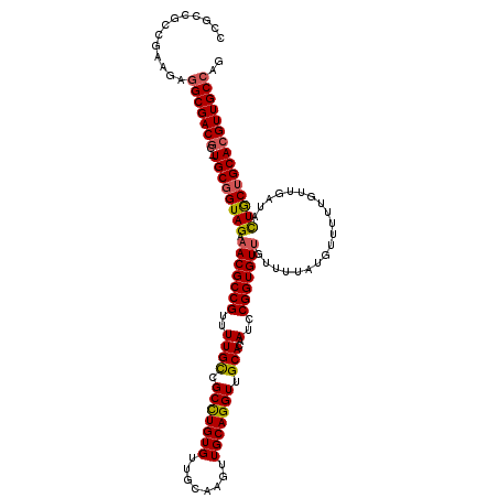 secondary structure