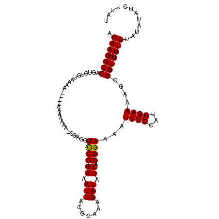secondary structure