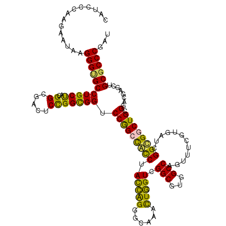 secondary structure