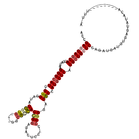 secondary structure