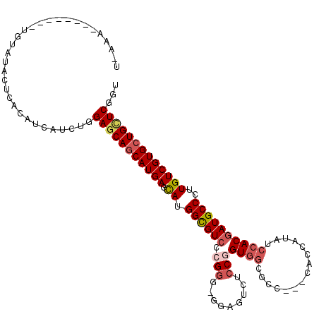 secondary structure