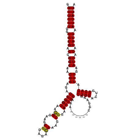 secondary structure