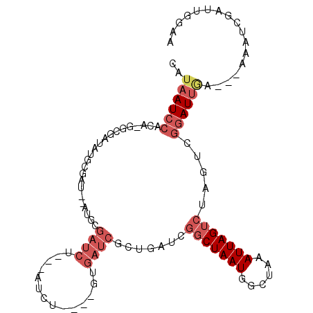 secondary structure
