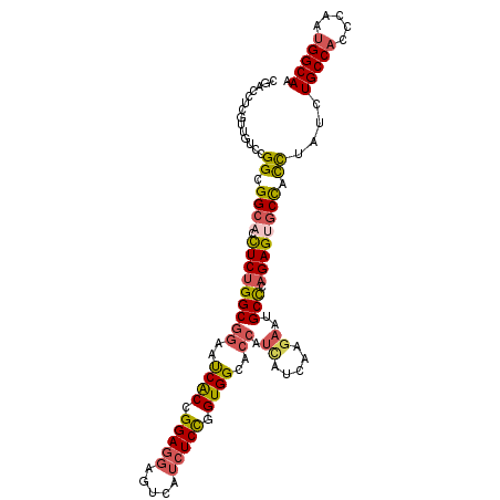 secondary structure