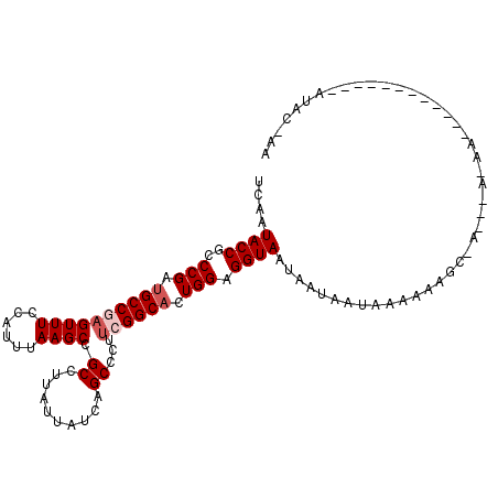 secondary structure