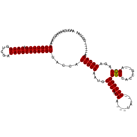 secondary structure