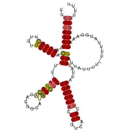 secondary structure